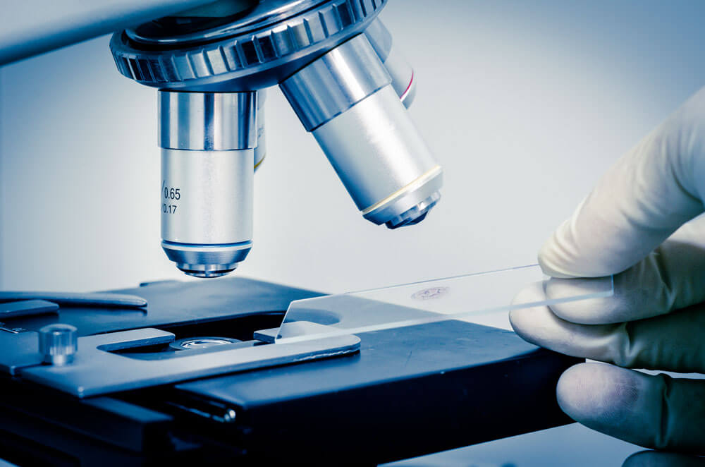 data rooms for biotech licensing